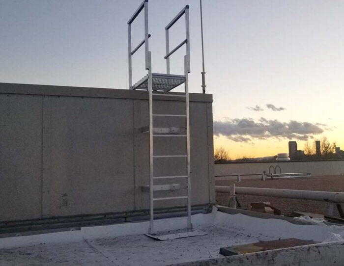 Fixed Vertical Ladder with Grab Rails