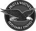 pratt-whitney