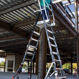 Standard Dual Safety Ladder with Enclosed Work Platform