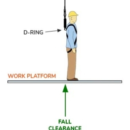 Fall Clearance