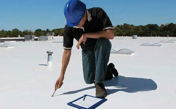 Services - Site Survey