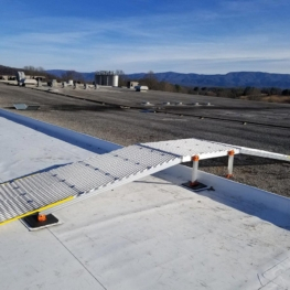 Crossover Walkway Ramp with Handrails