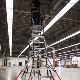 Standard Dual Safety Ladder with Enclosed Work Platform