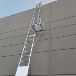 Fixed Vertical Ladder with Grab Rails