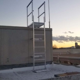 Fixed Vertical Ladder with Parapet Platform