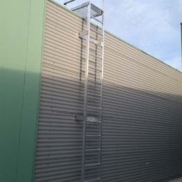 Fixed Vertical Ladder with Grab Rails