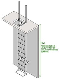 Fixed Vertical Ladder with Grab Rails - Ladder Length