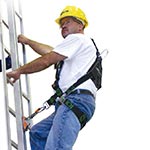 Ladder Fall Arrest Systems