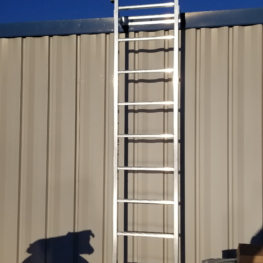 Fixed Vertical Ladder with Grabrails