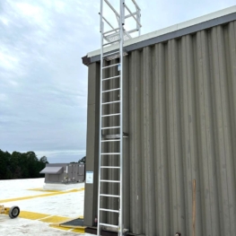 Fixed Vertical Ladder with Parapet Platform